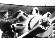 ANT-5