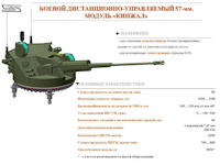 Naval Infantry Combat Vehicle (BMMP)