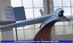 Eleron3 remote observation system