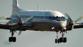 Il-18 Coot