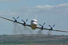 Il-18 Coot
