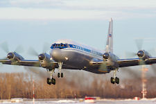 Il-18 Coot