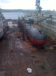 PD-50 Project 7454
