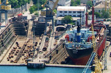 Sevastopol Marine Plant