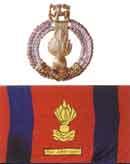 sri lanka army unit