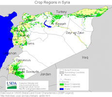 Syria Map - Cropland