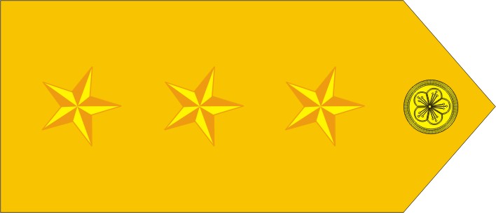 Rank Badges Picture
