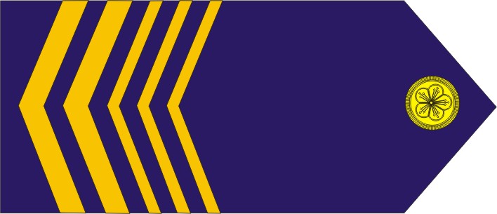 Rank Badges Picture
