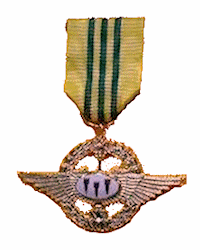 Awe-Inspiring Medal