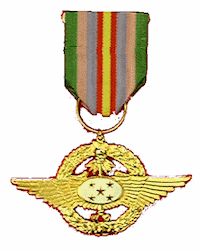 9 Star Medal