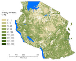 Tanzania Map