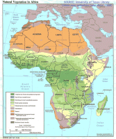 Africa Map - Vegetation
