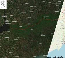 Recent satellite imagery reveals a 20km wide band of green along the frontline, stretching across farmland that cannot be maintained due to the war.