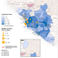 Geographical distribution of new and total confirmed cases