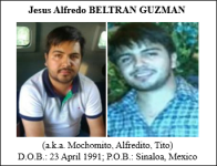 Jesus Alfredo Beltran Guzman (Beltran Guzman), also known as El Mochomito