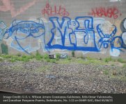 Photograph of MS-13 graffiti near the CSX Bayview Train Yard in Baltimore, Maryland