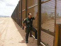 Pedestrian Fence