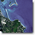[Cape Cod]