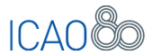 International Civil Aviation Organization