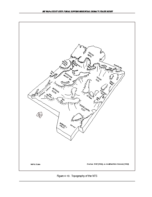 Topography of the NTS