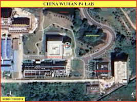 Wuhan Institute of Virology (WIV)