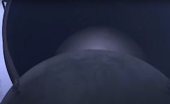 Hwasong-19