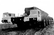 MAZ 7904