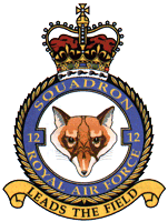 12 Squadron Badge