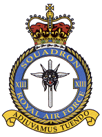 12 Squadron Badge