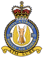 12 Squadron Badge
