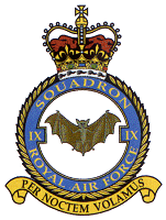 IX Squadron Badge